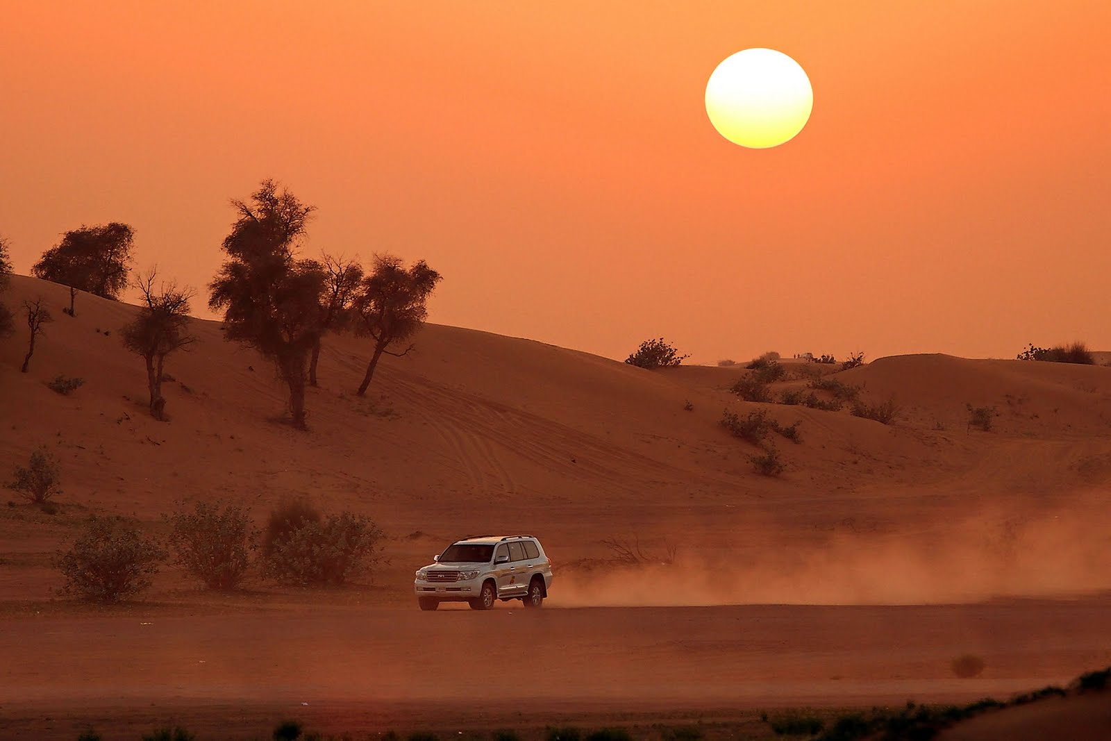 safari sunset desert tour